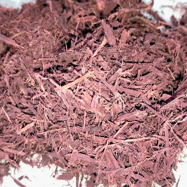 mimosa hostilis root bark shredded mimosa hostilis root bark shredded